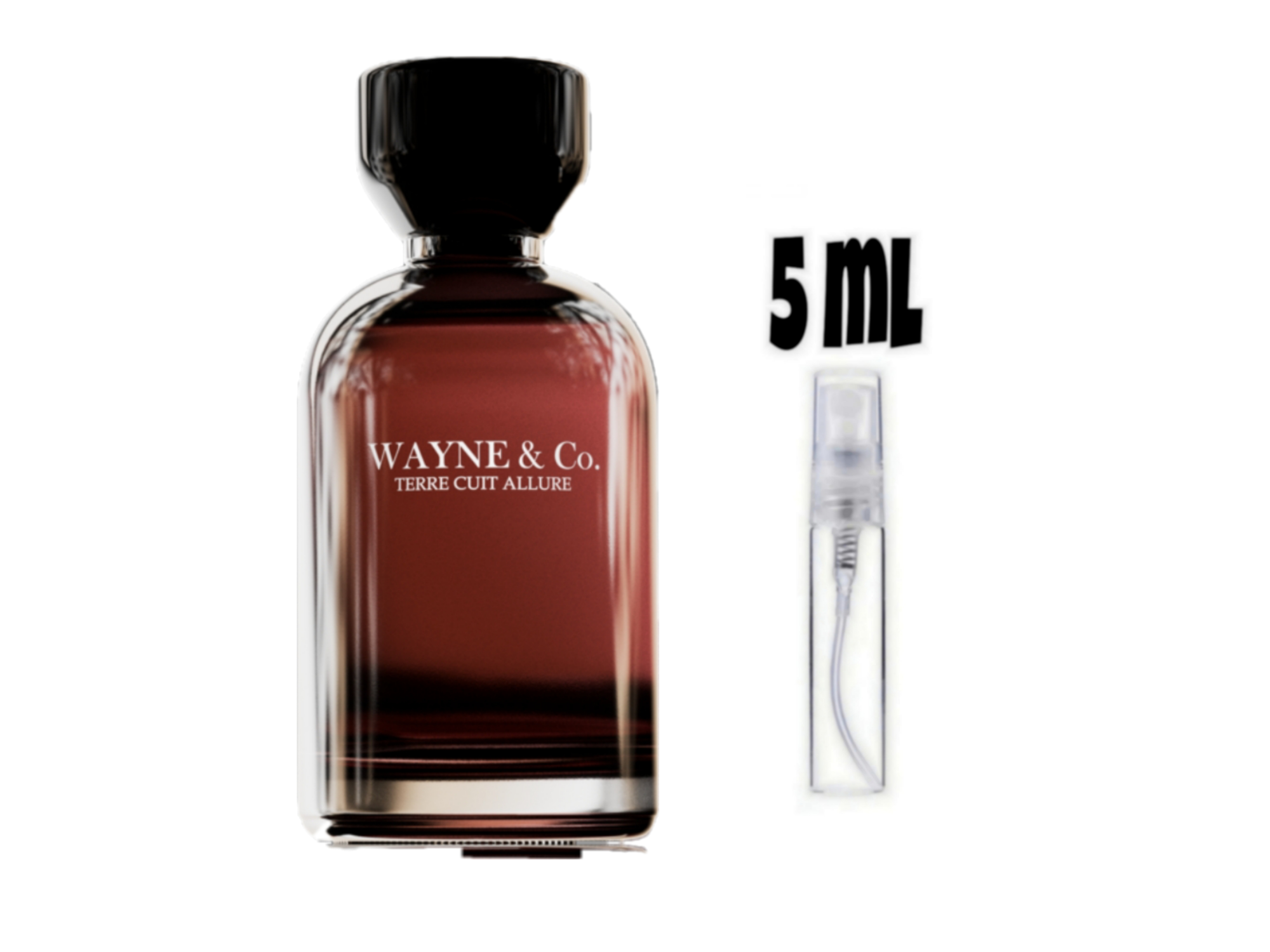 Terre Cute Allure de Wayne & Co