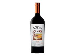 Malbec Finca Gabriel