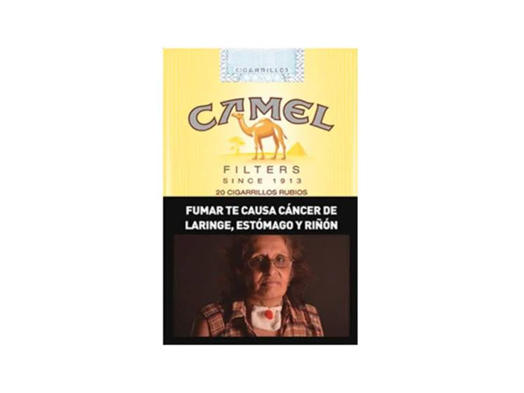 CAMEL 20