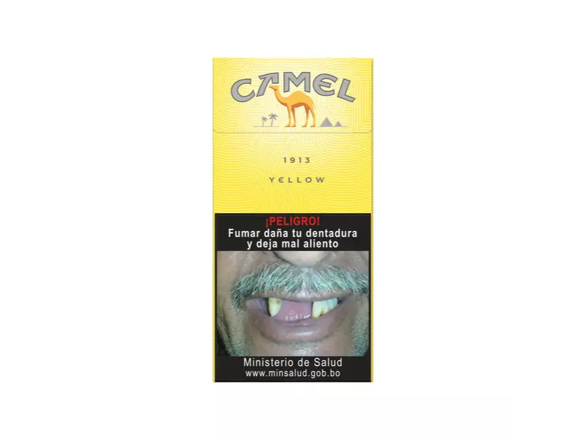 CAMEL 10