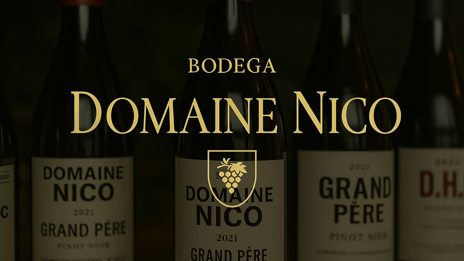 Bodega Domaine Nico