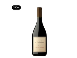 DV PINOT PINOT $ 13034