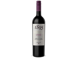 VINO NORTON 1895 CABERNET 750C