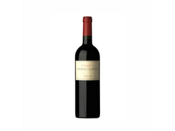 Angelica cab franc