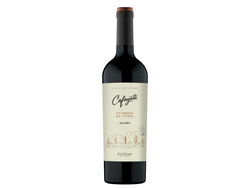VINO CAFAYATE MALBEC NUEVO 750C