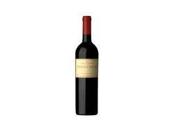 Angelica cabernet