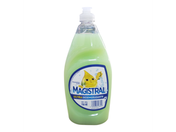 DETERGENTE MAGISTRAL ALOE