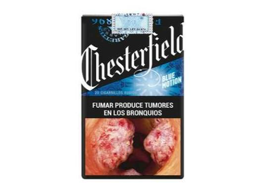 CHESTERFIEL MENTOLADO 20