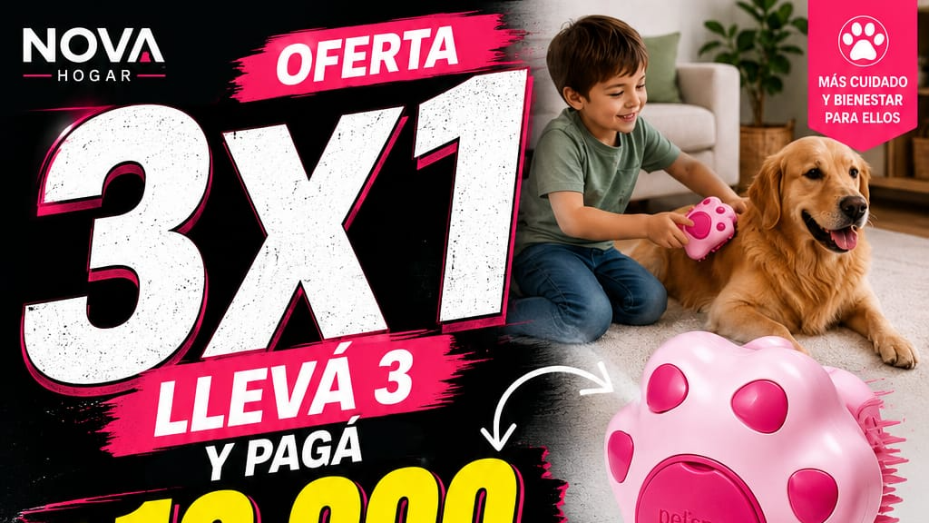 3X1