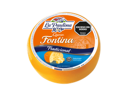 FONTINA