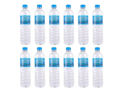 PACK 12 U X 600 ML