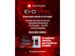 COMPLEJO CAPILAR