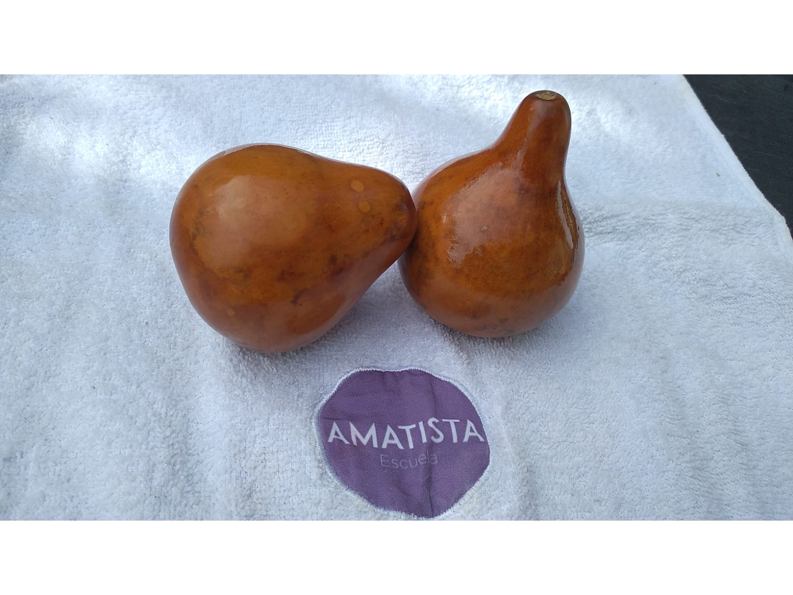 PAR CALABAZAS PARA SPA