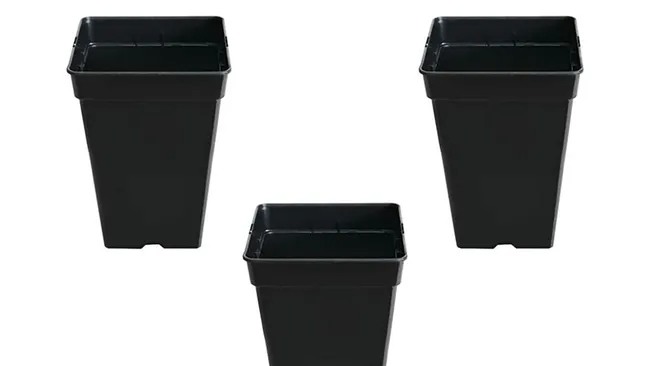Macetas