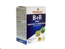 B+R 100cc Mamboreta
