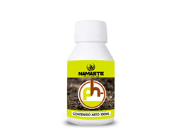 Ph - Namaste 100ml