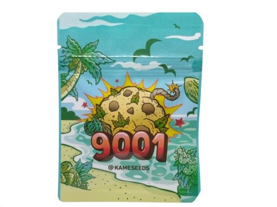 9001 Kame Seeds (3 unidades foto fem)