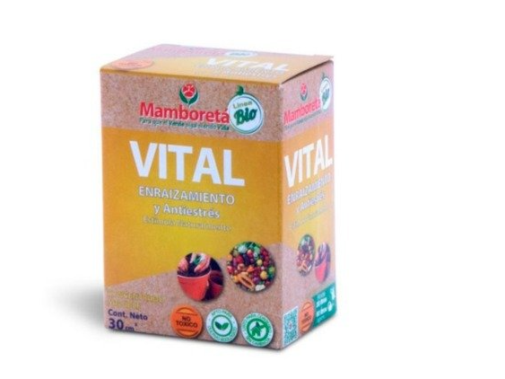 Vital 30cc Mamboreta