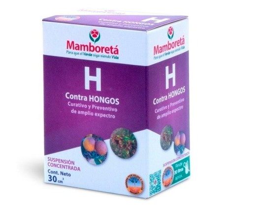 H 30cc Mamboreta