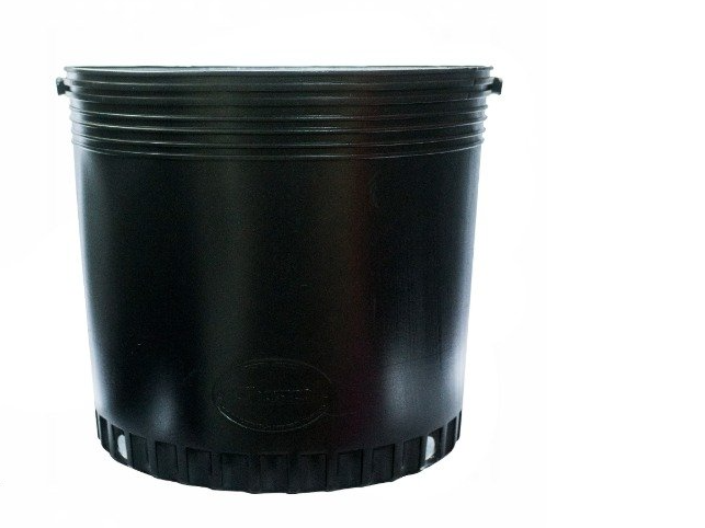 Maceta soplada 75 litros