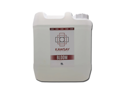 KAWSAY BLOOM 5 LT