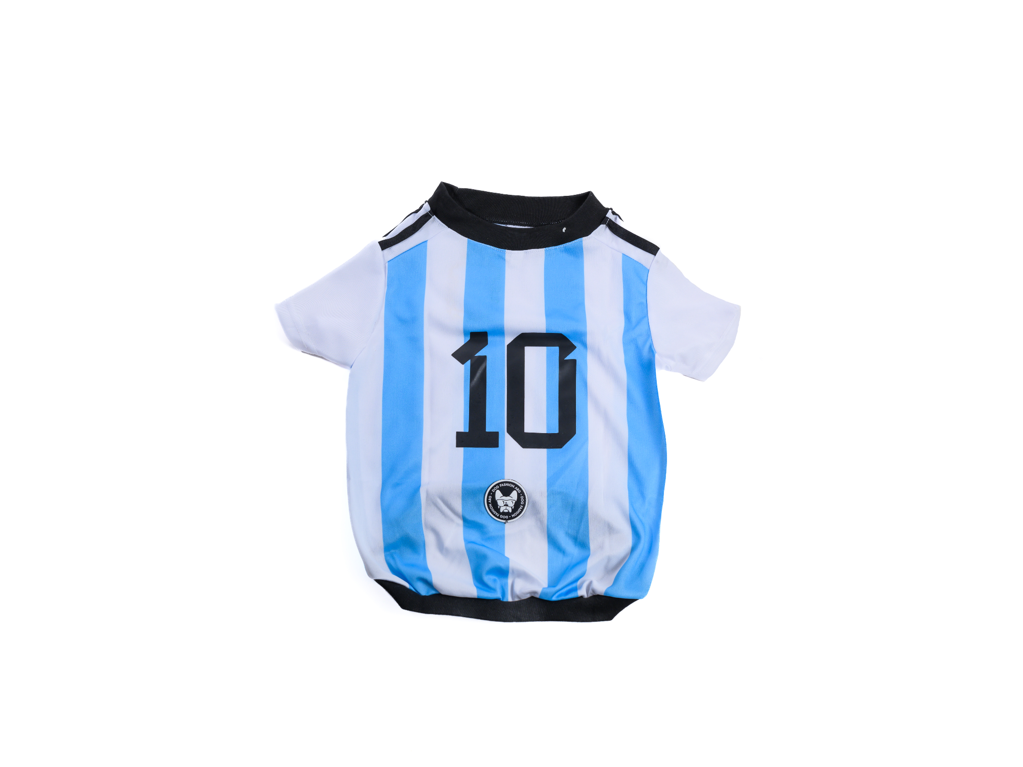 Remera Argentina "Campeones del Mundo"