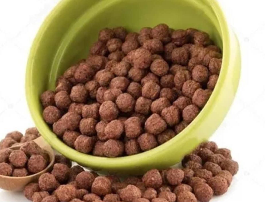 BOLITAS DE CHOCOLATE