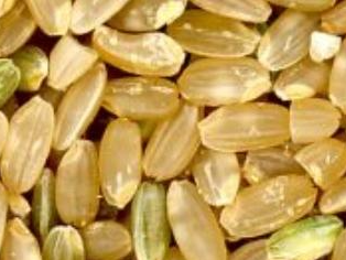 ARROZ YAMANI