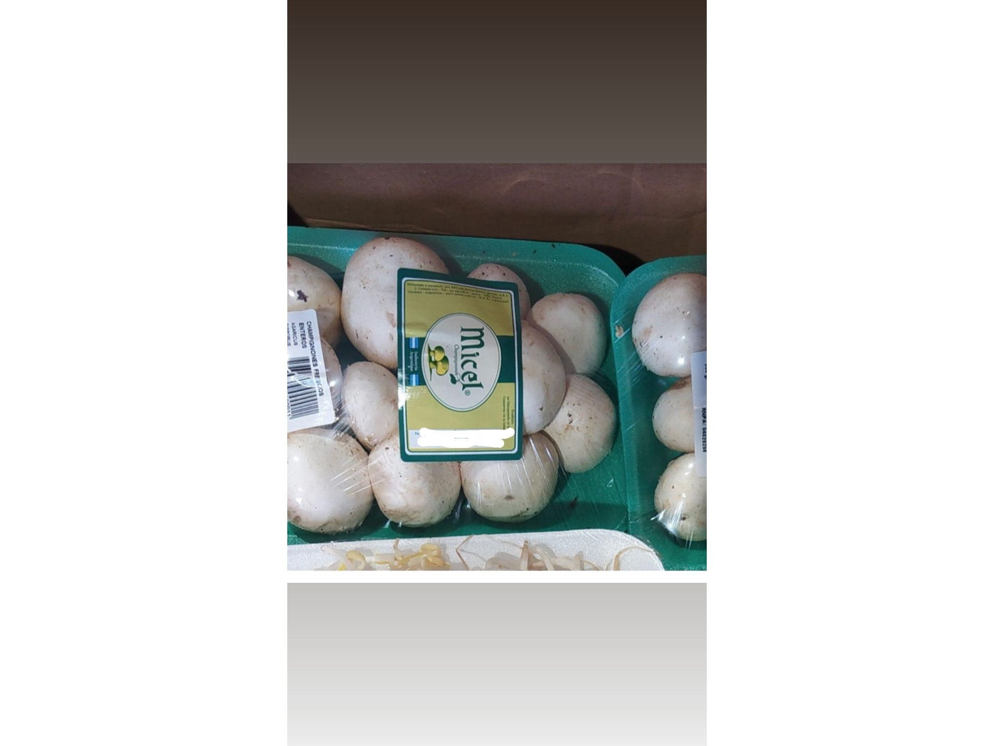 CHAMPIÑON SUELTOS