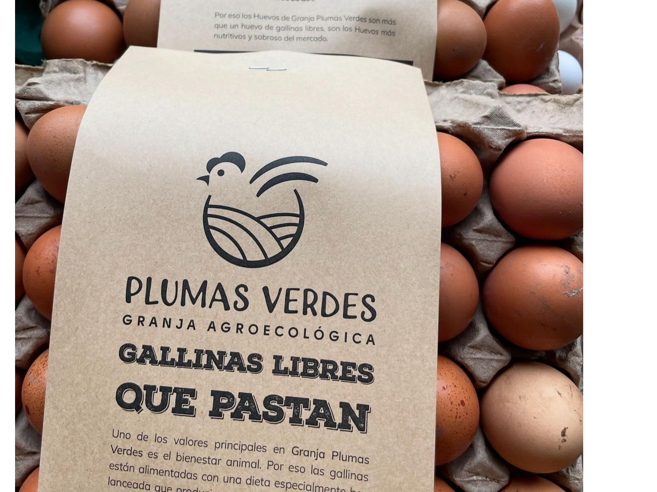 HUEVOS AGROECOLOGICOS