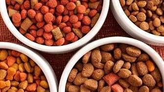 ALIMENTOS PARA MASCOTAS "PERROS" 🐕🐶🐕🦺🐩