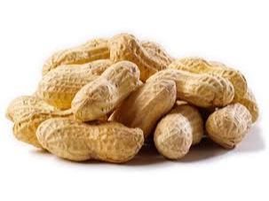 MANI C/CASCARA SNAP X1KILO