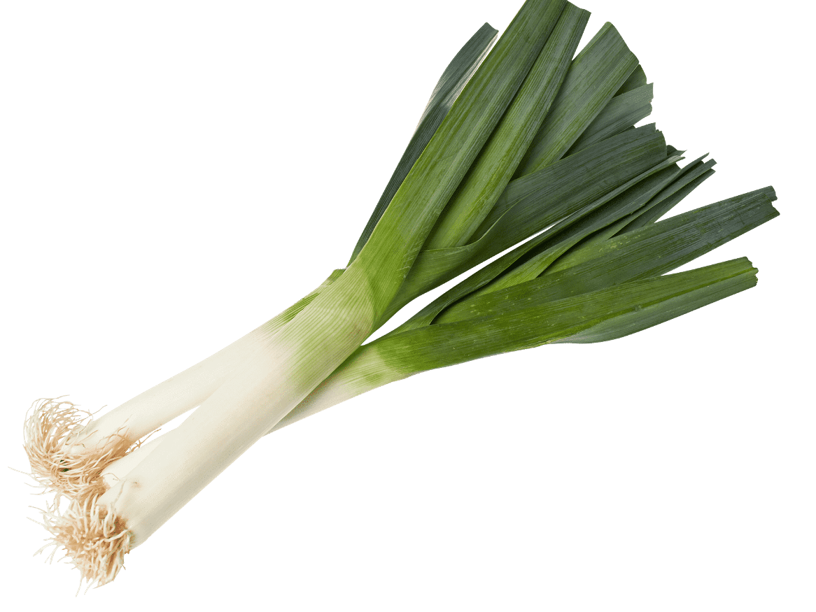 AJO PUERRO