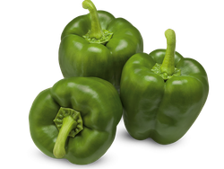 PIMIENTO VERDE
