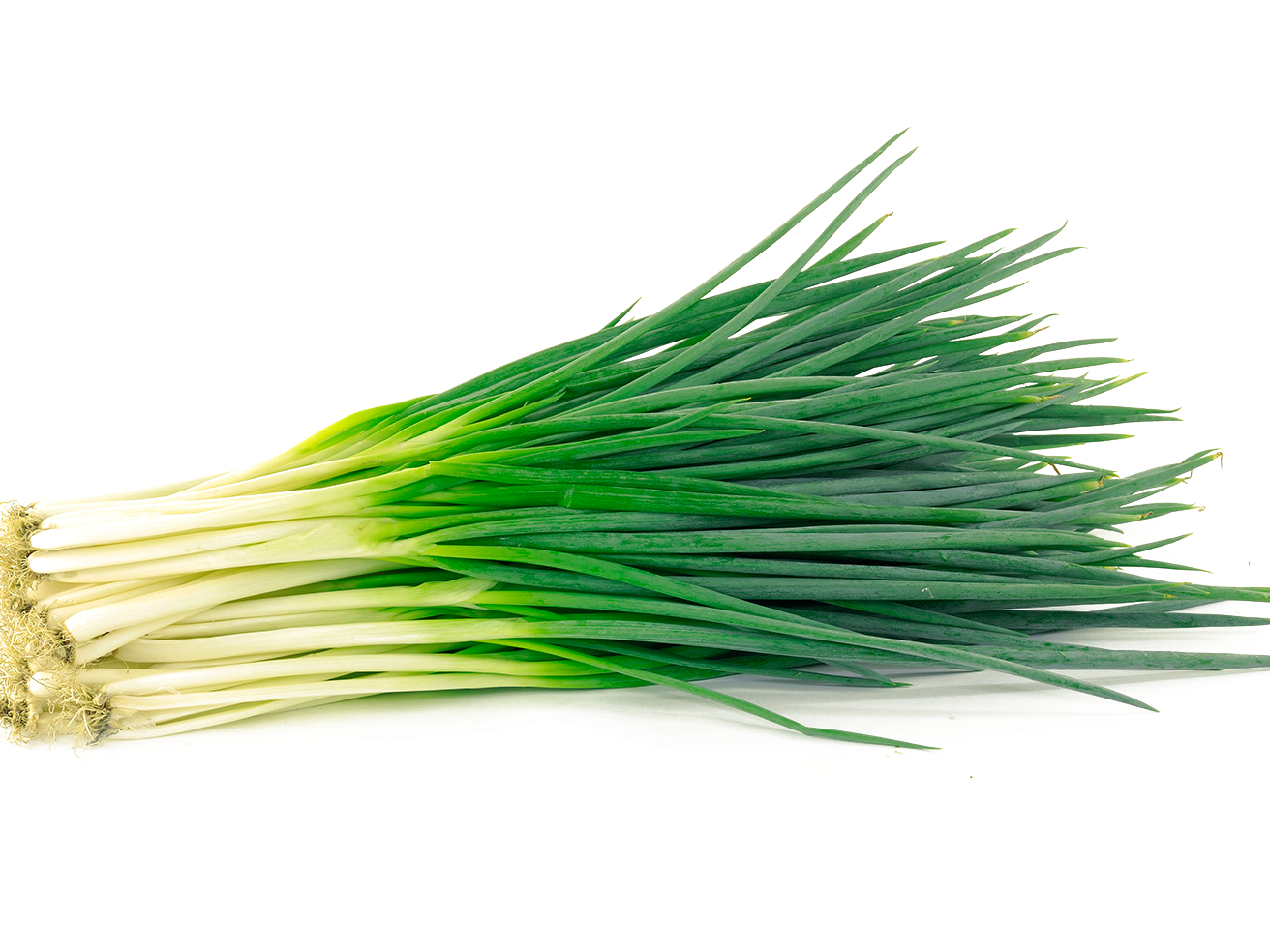 CEBOLLITA DE VERDEO de NaranjaLima Verduleria