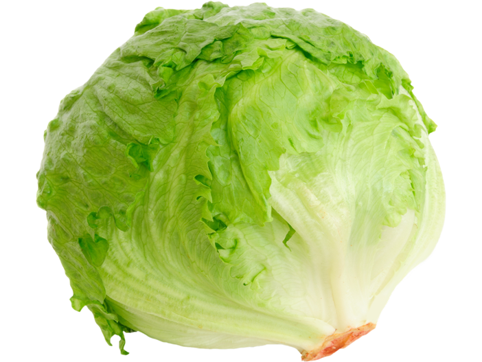 LECHUGA REPOLLADA