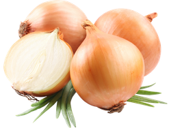 CEBOLLA