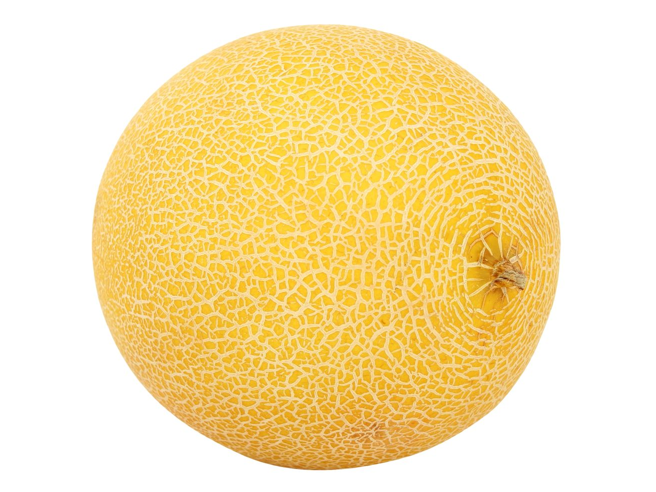 MELON