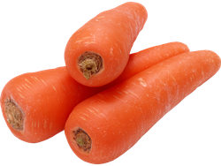 ZANAHORIA ELEGIDA