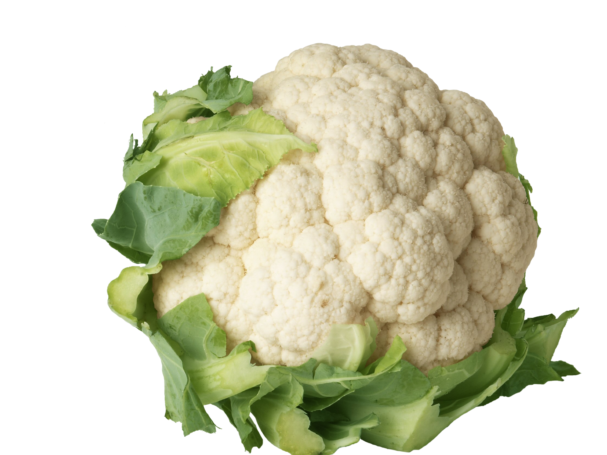 COLIFLOR