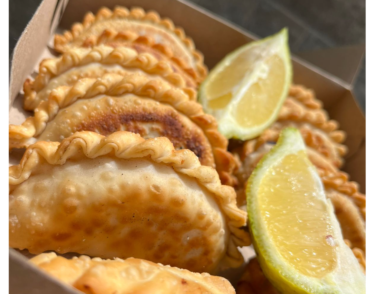 EMPANADAS DE POLLO