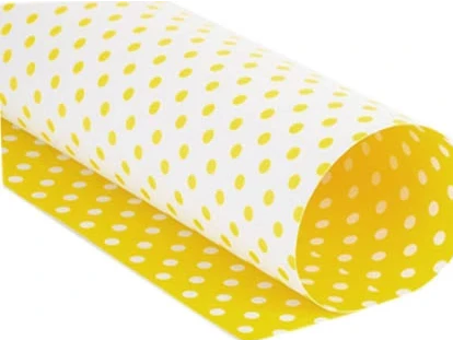 CARTULINA ENTRETENIDA x UNIDAD