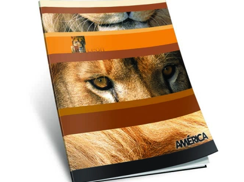 CUADERNO "AMÉRICA"TAPA FLEXIBLE x 48 HOJAS