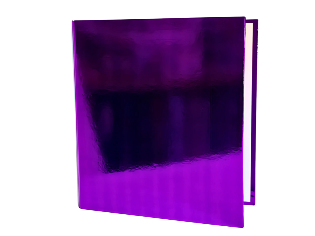 CARPETA "REXON" METALIZADA N°3