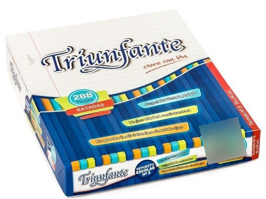 REPUESTO N°3 "TRIUNFANTE" x 288 HOJAS
