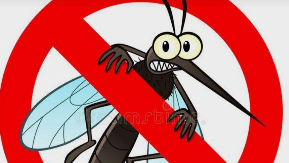 Insecticidas