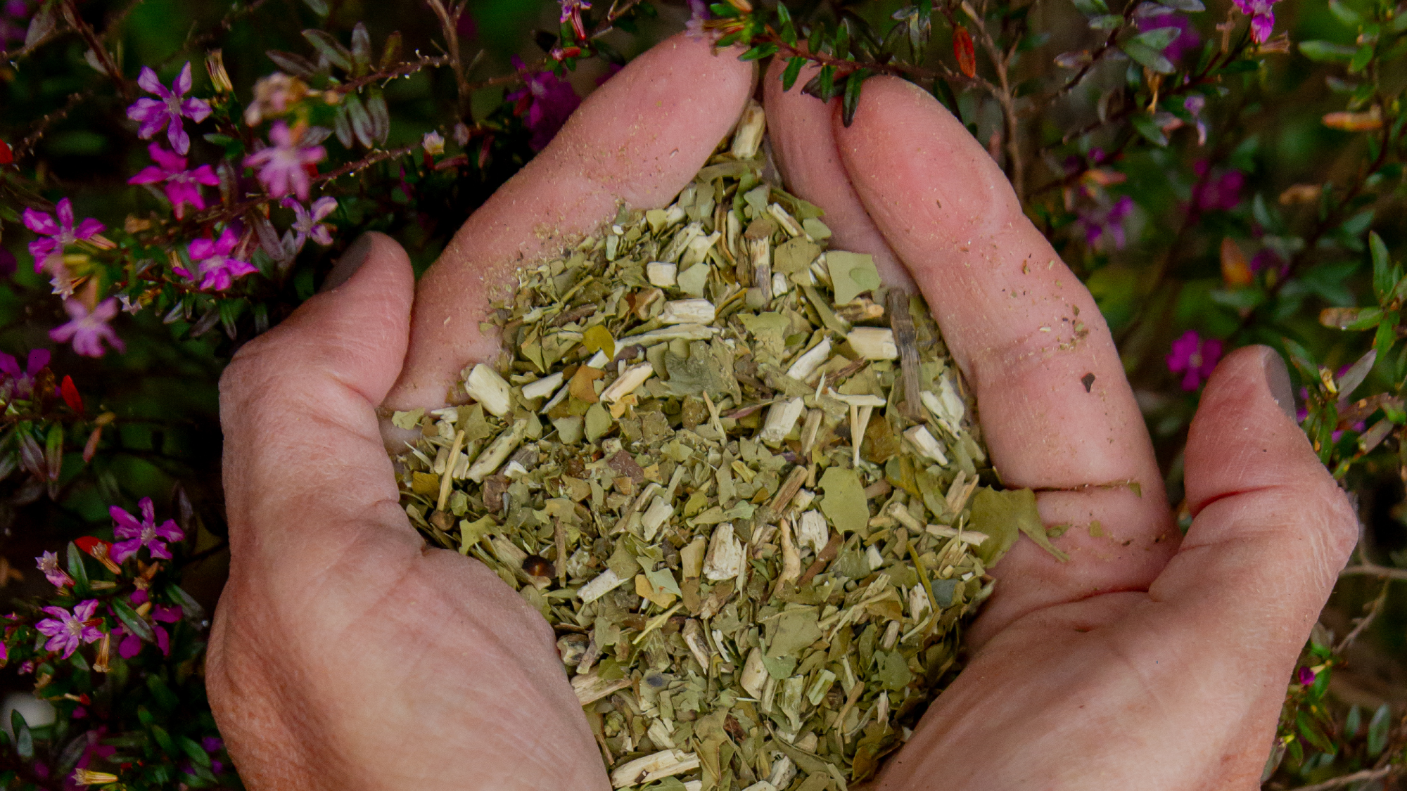 YERBAS