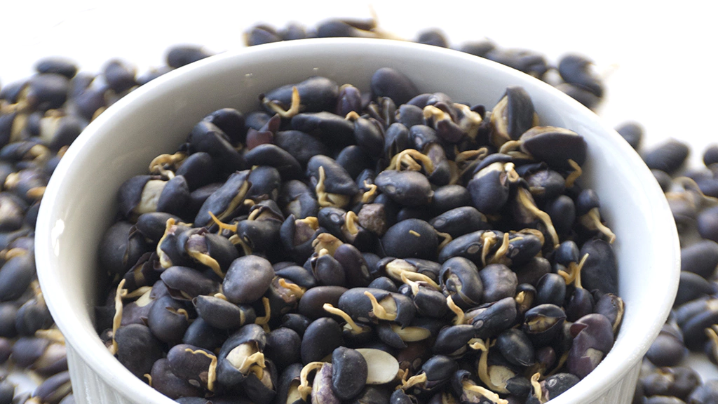 PRODUCTOS AMOLA GERMINADOS