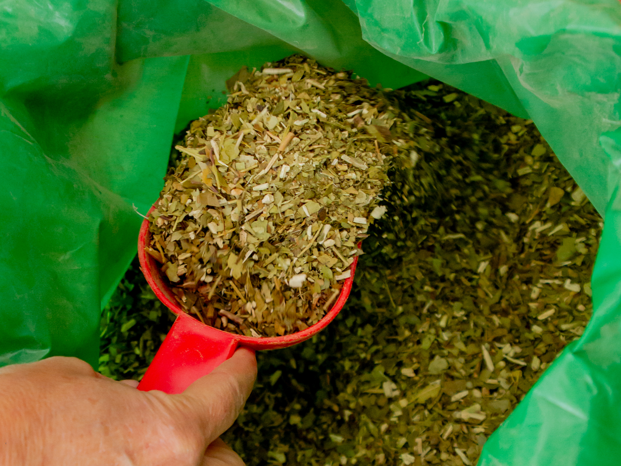 Yerba Orgánica Agroecológica Despalada