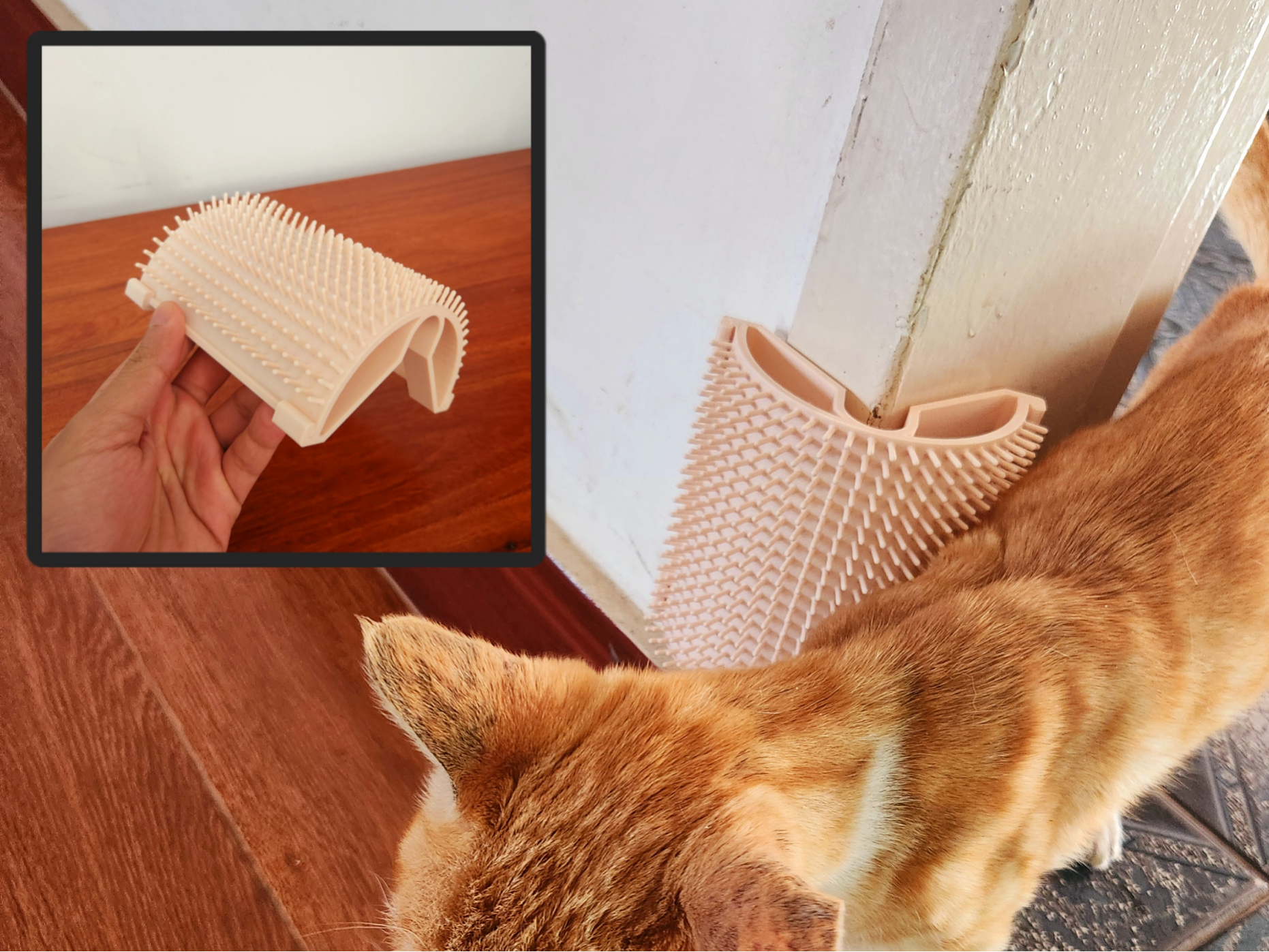 AUTOACICALADOR PARA GATOS